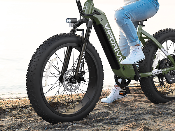 Electric bicycles: new fashion and future trends in European and American cities